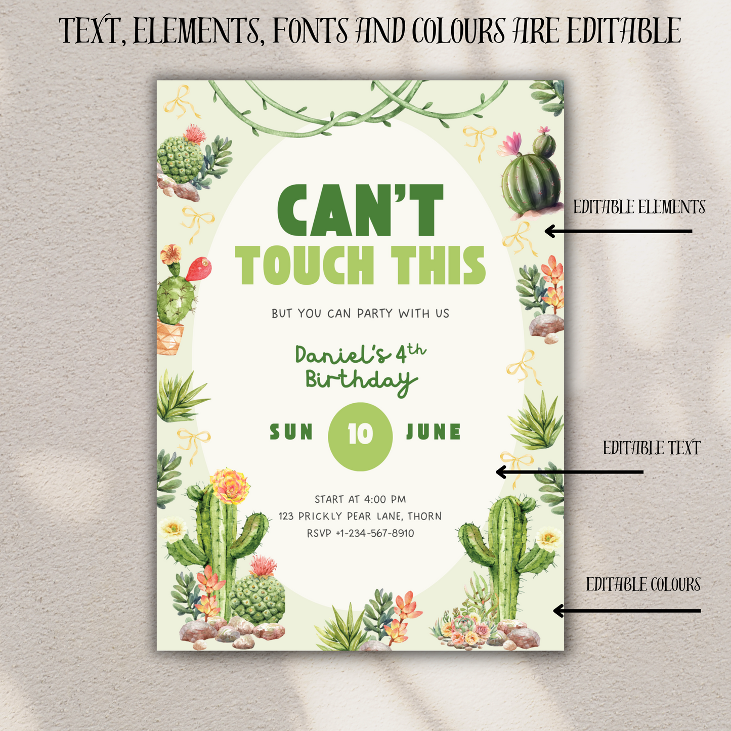 Cactus Theme Birthday Party Invitation Succulent Theme Invites Desert Chic